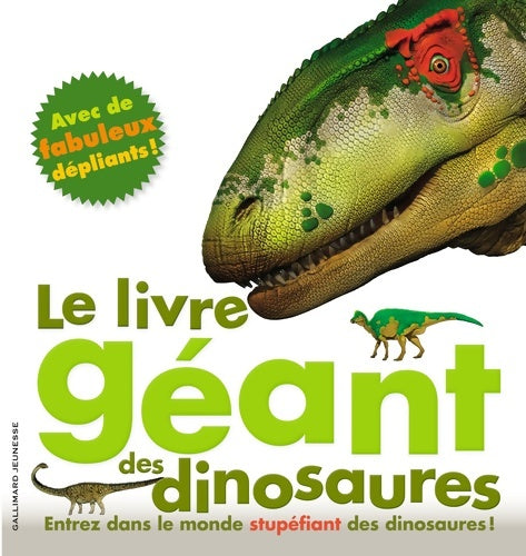 Le livre géant des dinosaures - mary Greenwood -  Mes grandes découvertes - Livre