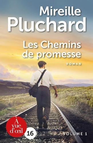 Les chemins de promesse Tome I - Mireille Pluchard -  A vue d'oeil GF - Livre