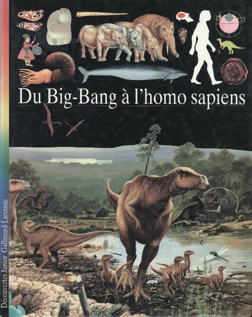 Du big-bang à l'homo sapiens - Collectif -  Découvertes junior - Livre