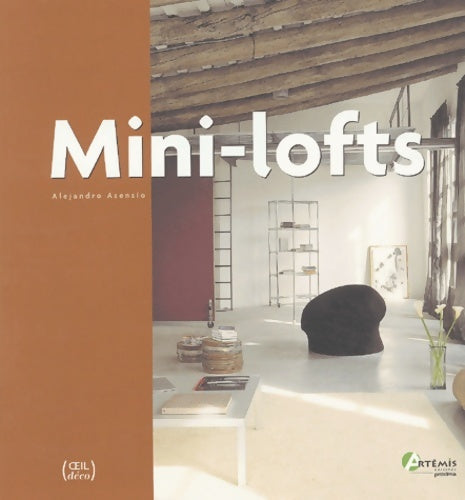 Mini lofts - Alejandro Asensio -  Oeil déco - Livre