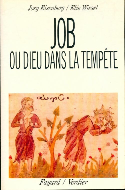 Job ou dieu dans la tempête - Elie Wiesel -  Fayard GF - Livre