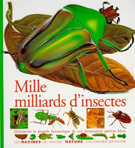 Mille milliards d'insectes - Vincent Albouy -  Gallimard GF - Livre