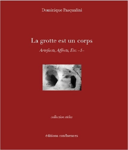 La grotte est un corps : Artefacts, affects, etc. Tome I - Dominique Pasqualini -  Confluences - Livre