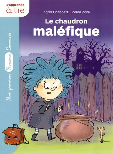 Un sorcier à l'école : Le chaudron maléfique - Ingrid Chabbert -  Mes premiers romans Larousse - Livre