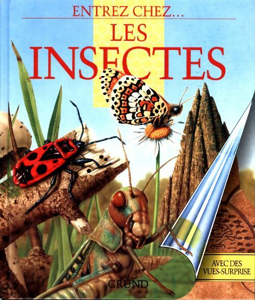 Entrez chez les insectes - Angela Royston -  Entrez chez - Livre