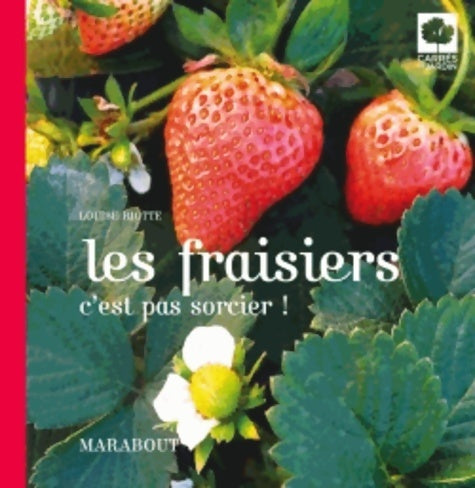 Les fraisiers c'est pas sorcier ! - Louise Riotte -  Carrés de jardin - Livre