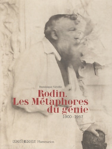 Rodin. Les métaphores du génie : 1900-1917 - Dominique Viéville -  Flammarion GF - Livre