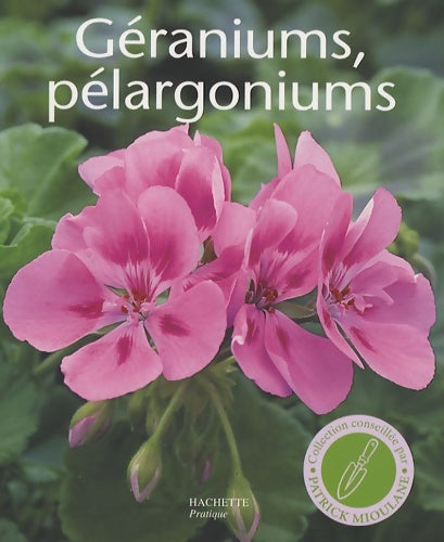 Géraniums pélargoniums : Les conseils d'un spécialiste pour l'achat la culture et la multiplication - Andreas Riedmiller -  Petits pratiques jardinage - Livre