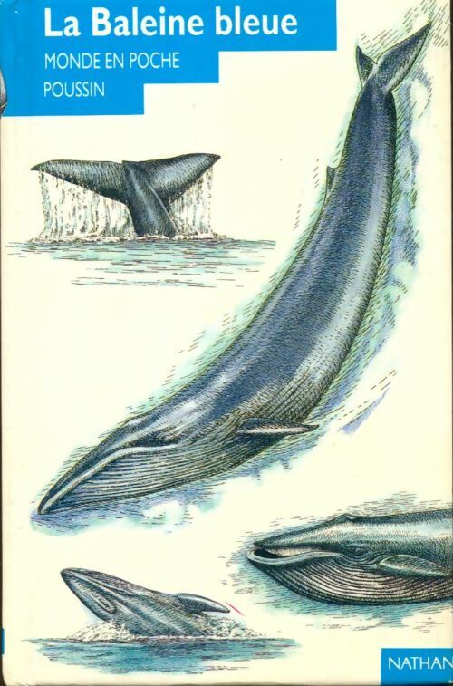 Le baleine bleue - Angela Royston -  Monde en poche poussin - Livre