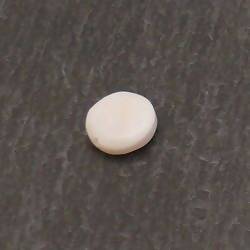 Perle en nacre pastille forme ronde Ø10mm (x 1)