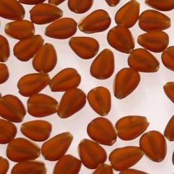 Perles en verre forme de goutte plate 10x7mm couleur Ambre givré (x 1)