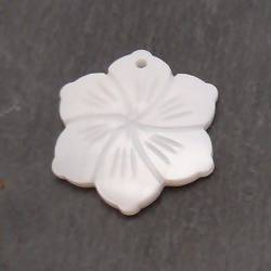 Perle en nacre forme fleur Ø30mm (x 1)