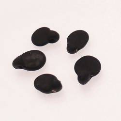 Perles en verre ronde plate Ø10mm couleur noir givré (x 5)