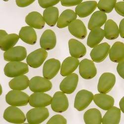 Perles en verre forme de goutte plate 10x7mm couleur Vert Pomme opaque (x 1)