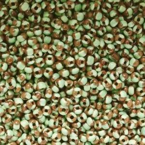 Perles de Rocaille 2mm bicolore chocolat et vert foncé opaque (x 20g)